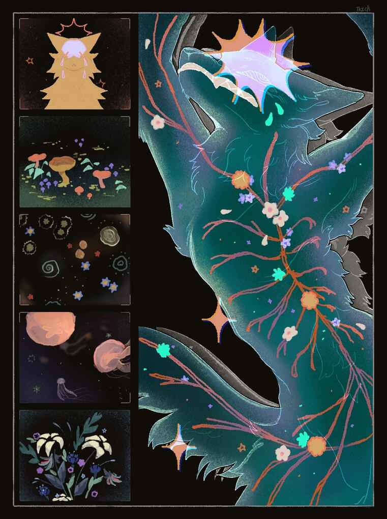 ————————•———————————————————————— ————————•————————————————————————